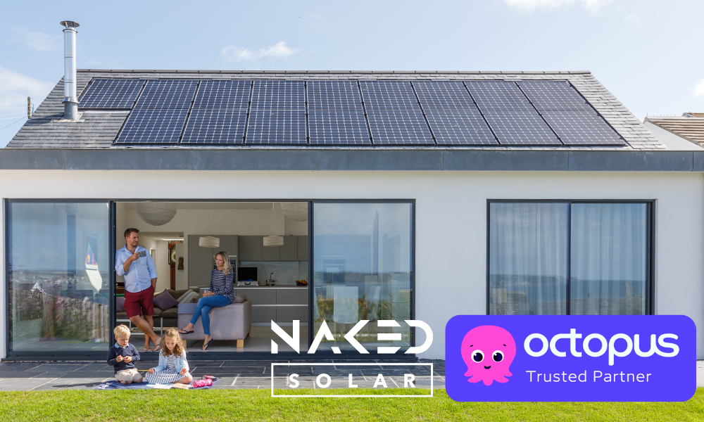 naked-solar-octopus-trusted-installation-partner-2 naked-solar-octopus-trusted-installation-partner-2