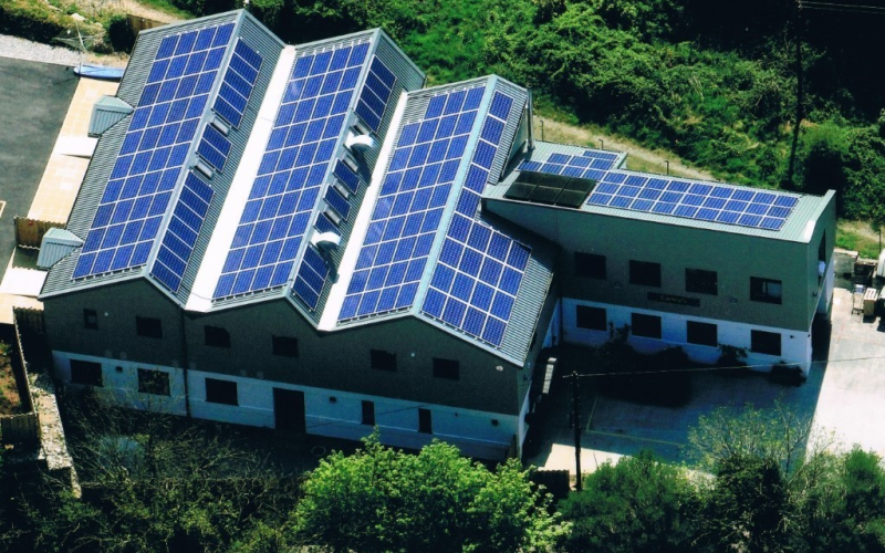 Carleys Organic Solar