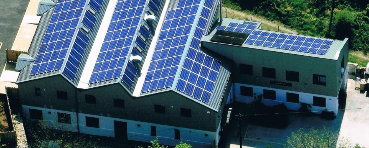 Carleys Organic Solar