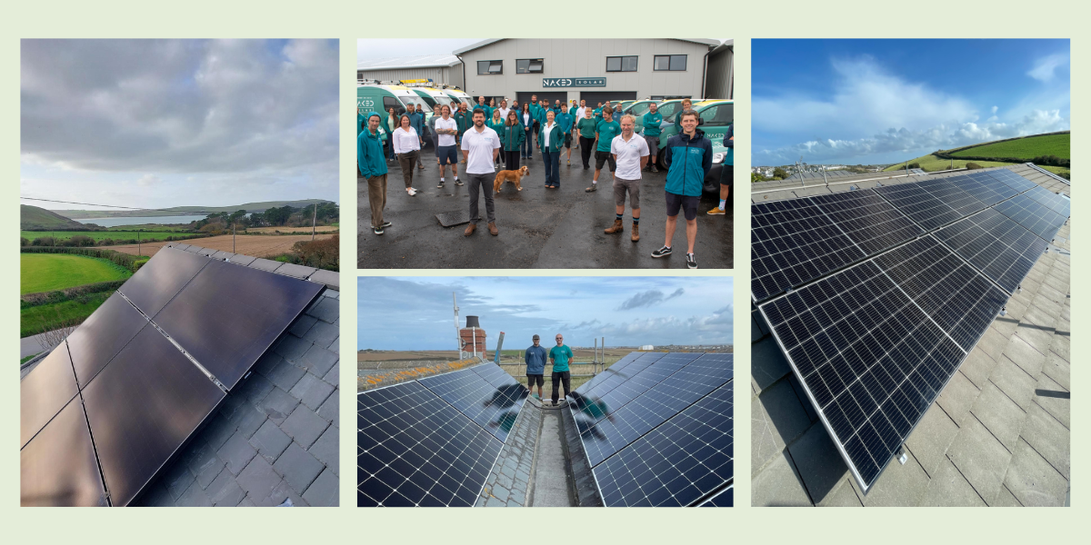 locals-landingpage-installation-4